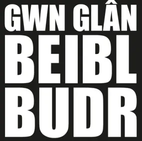 Lleuwen - Gwn Glân Beibl Budr